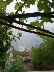 beach apartment drasnice