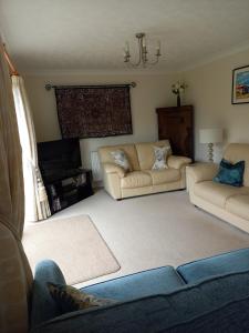 Apple Trees, Holt, Norfolk