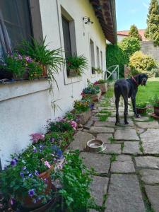 Penzion Farma Dolík