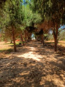 Grande Villa Piscine & Confort à Hammamet