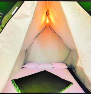 Munnar green portico cottages and hut stay