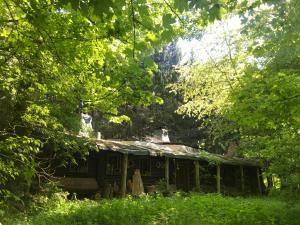 Das wilde Auwaldhaus