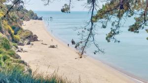 Appartements Studio Myrtilles - Plage et commerces a proximite : photos des chambres