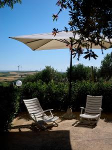 Casa Puffa - Tiny home