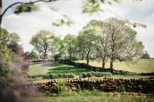 Rocking Stone Cottage