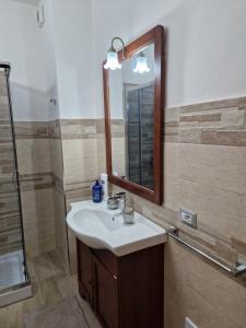 Società cooperativa LE MUSE img36