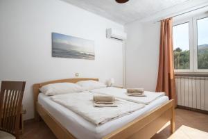 Villa Donna - holiday house for relaxation with pool, sauna, jacuzzi & biliards, Ližnjan - Istra