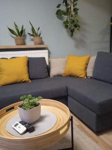 Window to the Castello a mare