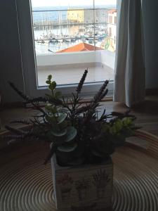 Window to the Castello a mare