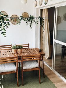 Cozy Apartment (La Orquídea)