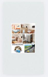 APARTMAJI PRI BOSI NOGI