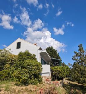 Robinson house Vito