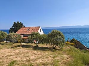 Robinson house Vito