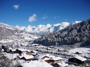 Appartements Studio confortable avec parking au Grand Bornand - FR-1-241-132 : photos des chambres