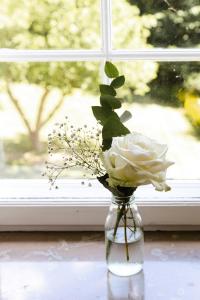 Stay In Fishers House In Forest By Lake