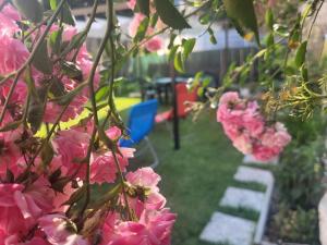 Appartamento di montagna da Agnese