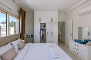 Cozy modern 1b apartment