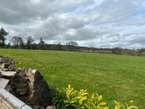 The Dizzy Duck Stable Barn