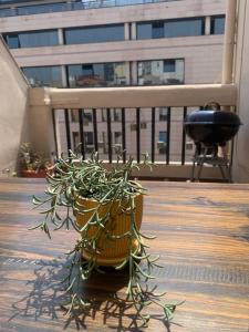 Ático en el centro con terraza