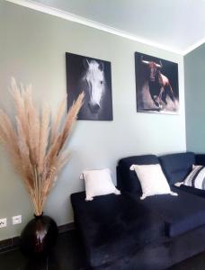 Maisons de vacances Les Olivettes : photos des chambres