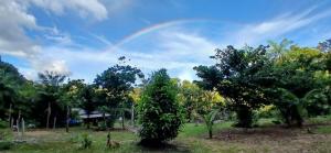 CATEDRAL THE ROCK CAMPING