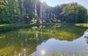 Gorgeous Home In Vinslöv With Wifi