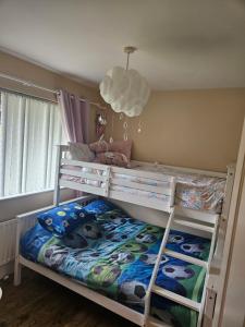 Accommodation for The OPEN