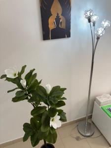 Casa Estrella Fuerteventura