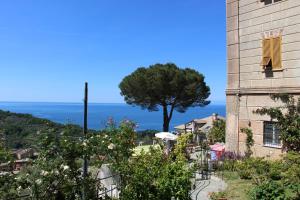 B&B Villa Orchidea