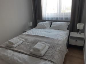 Apartament przy WROCZYŃSKIEGO 5 z miejscem garażowym