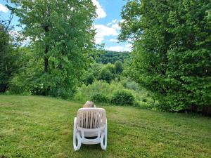Maison plain pied intérieur bois - Lac de chalain - Gîte les 4 saisons