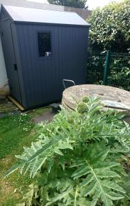 La Salicorne hébergement insolite