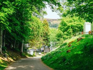 Heather View Standard Daisy Caravan Sleeps 6 4
