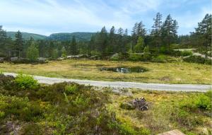 Nice Home In Åseral With House A Mountain View
