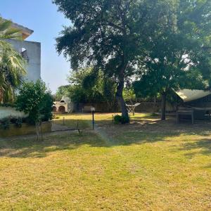 Paola's Garden img12