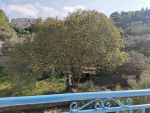 Valentinos Apartment 2