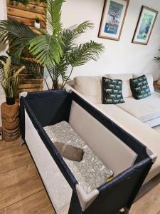 Appartements Adventure Home Escapade de pirates : photos des chambres