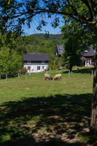 Cozy Forest Cottage Near Klingen Trail