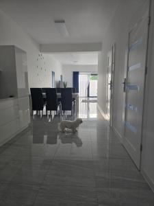 Apartament Gościniec