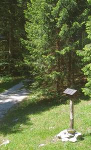Loghouse cabin in the Kočevje forest