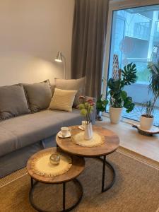 Polanki Aqua Harmony