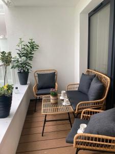 Polanki Aqua Harmony