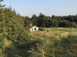 Summer House In The Dunes Near The West Sea