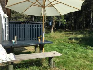 Summer House In The Dunes Near The West Sea