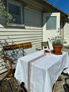 Panoramic View And Artistic Charm In Hundested