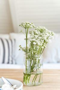 Close To Beach, Forest And Bike Trails