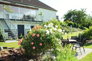 Eifel-Ferienhaus Landblick