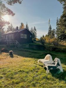 Adventure Explore Island Life In Idyllic Cottage