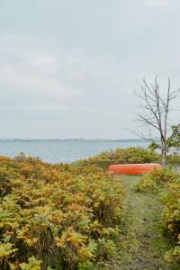 Cozy Holiday Home With Forest And Fjord Views