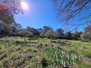 Maisons de vacances Maison Harmonia! Private Pool, BBQ, AC and Playground : photos des chambres